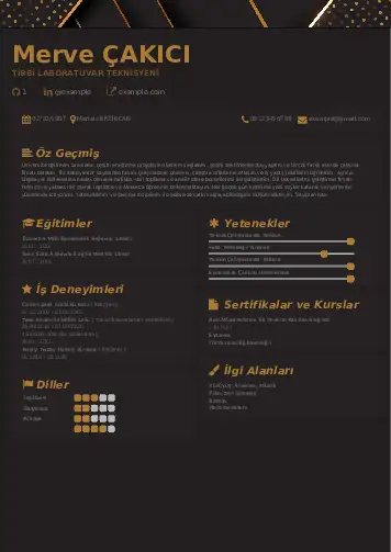 Laboratuvar Teknisyeni Cv Örnekleri cv indir